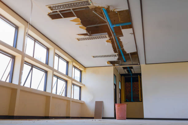 Best Ceiling water damage repair  in Cecil Bishop, PA