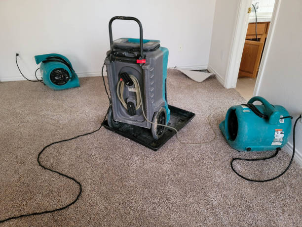Best Basement water damage restoration  in Cecil Bishop, PA