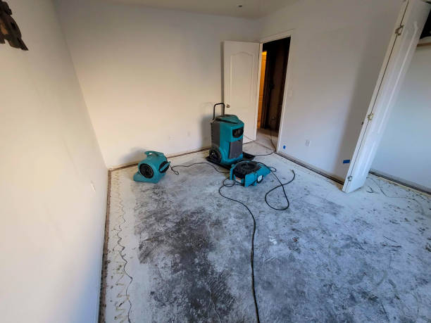 Best Fire Damage Restoration  in Cecil Bishop, PA