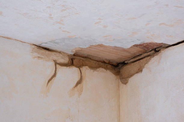 Best Sewage cleanup and water damage restoration  in Cecil Bishop, PA