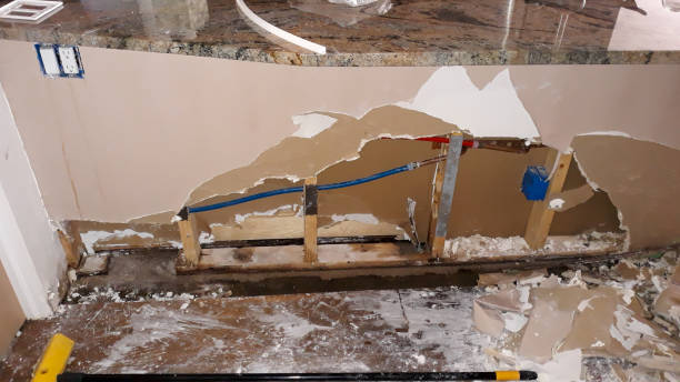 Best Local water damage restoration  in Cecil Bishop, PA