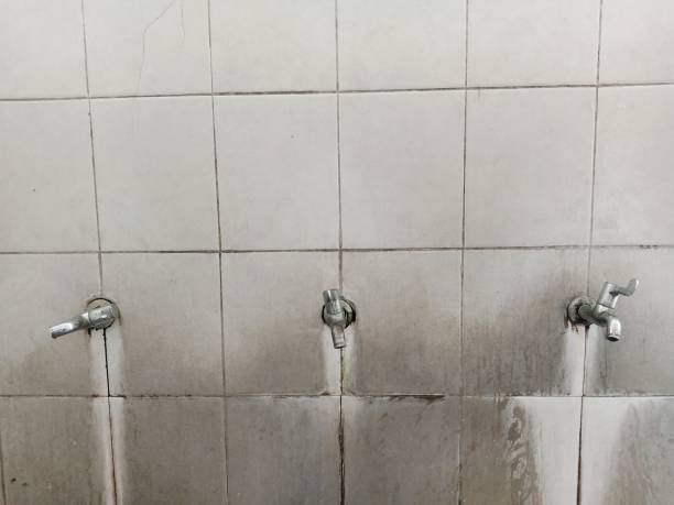 Best Basement water damage restoration  in Cecil Bishop, PA