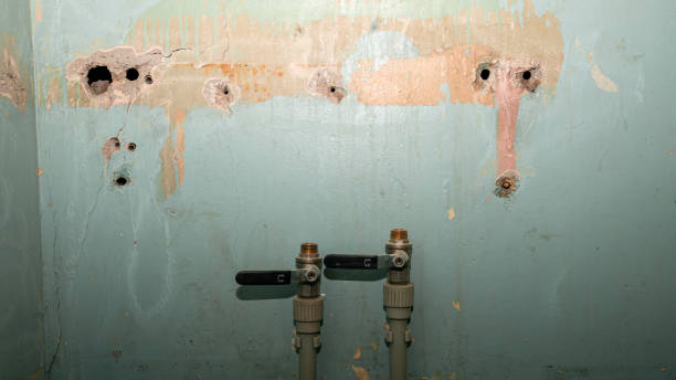 Best Flooded house restoration  in Cecil Bishop, PA
