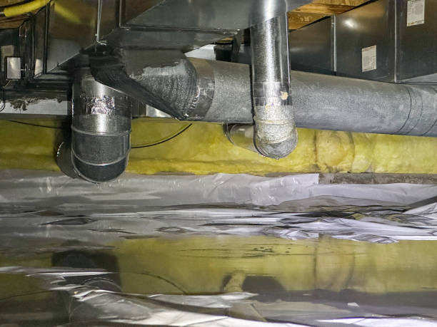 Best Sewage cleanup and water damage restoration  in Cecil Bishop, PA