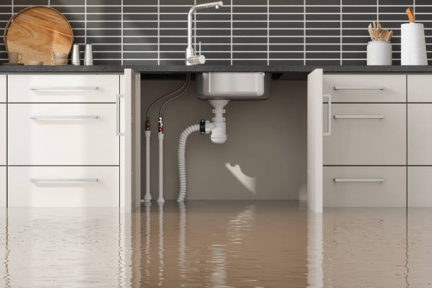 Best 24-hour water damage restoration  in Cecil Bishop, PA