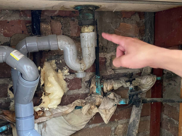 Best Commercial water damage restoration  in Cecil Bishop, PA
